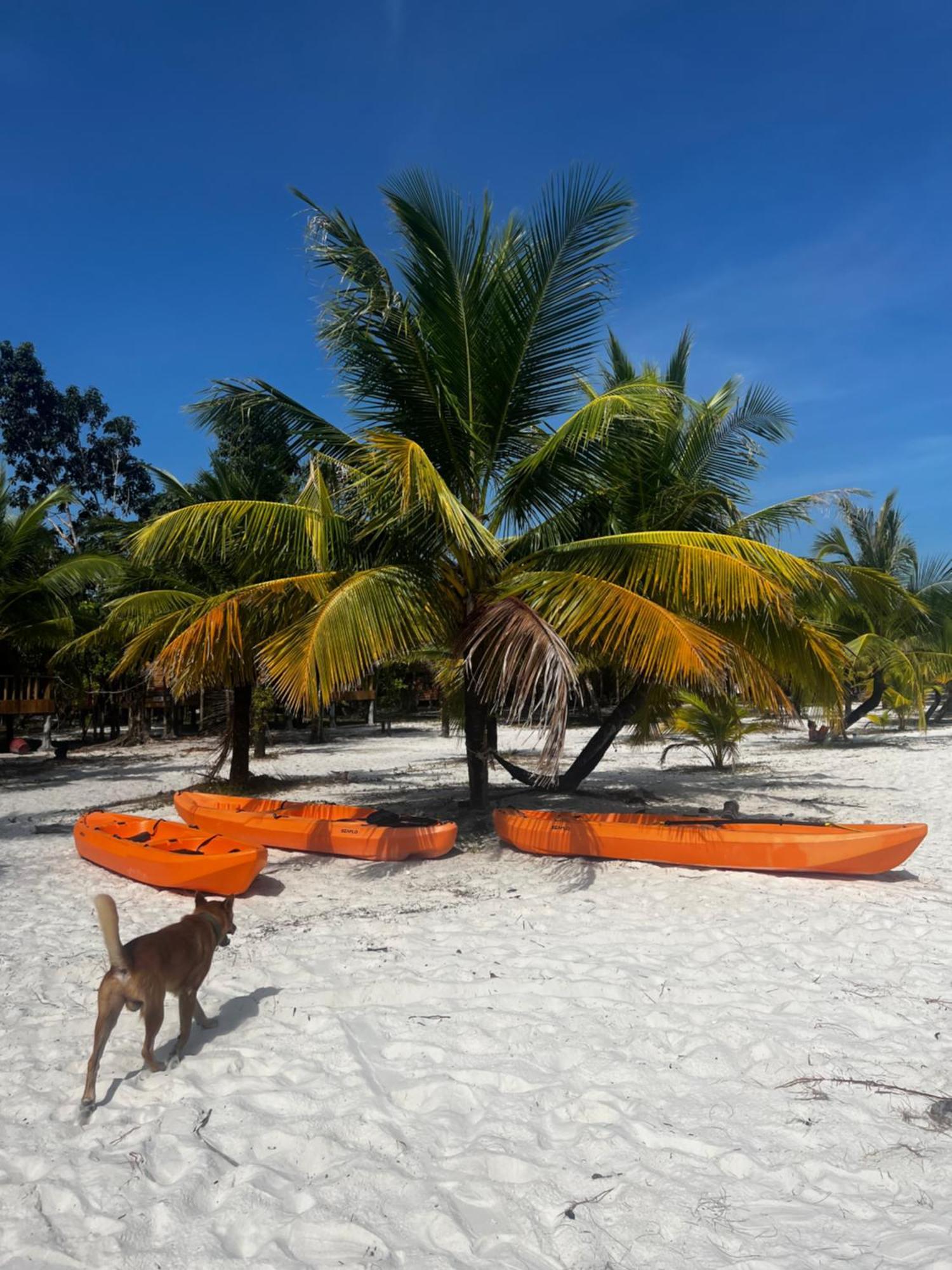 Rafikis Hostel Pulau Koh Rong Bagian luar foto